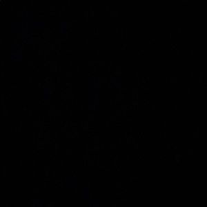 Meet your Posher, Logan